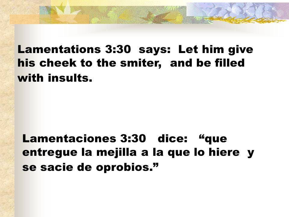 Lamentations 3:30 says: Let him give his cheek to the smiter, and be filled with insults.