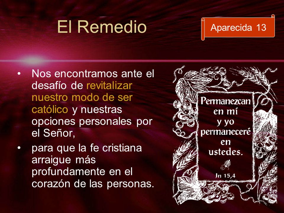El Remedio Aparecida 13. Nos encontramos ante el desafío de revitalizar nuestro modo de ser católico y nuestras opciones personales por el Señor,