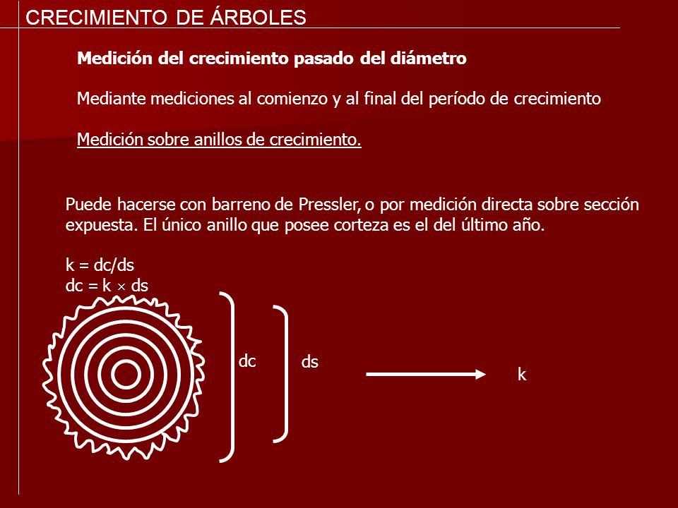 CRECIMIENTO DE ÁRBOLES