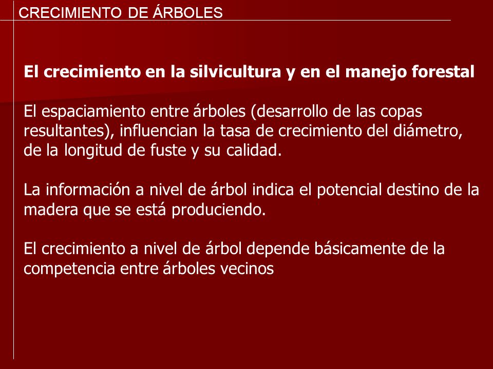 El crecimiento en la silvicultura y en el manejo forestal