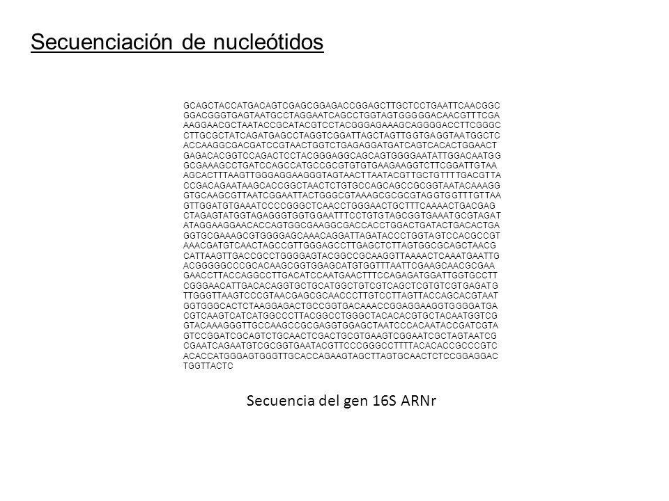 Secuenciación de nucleótidos