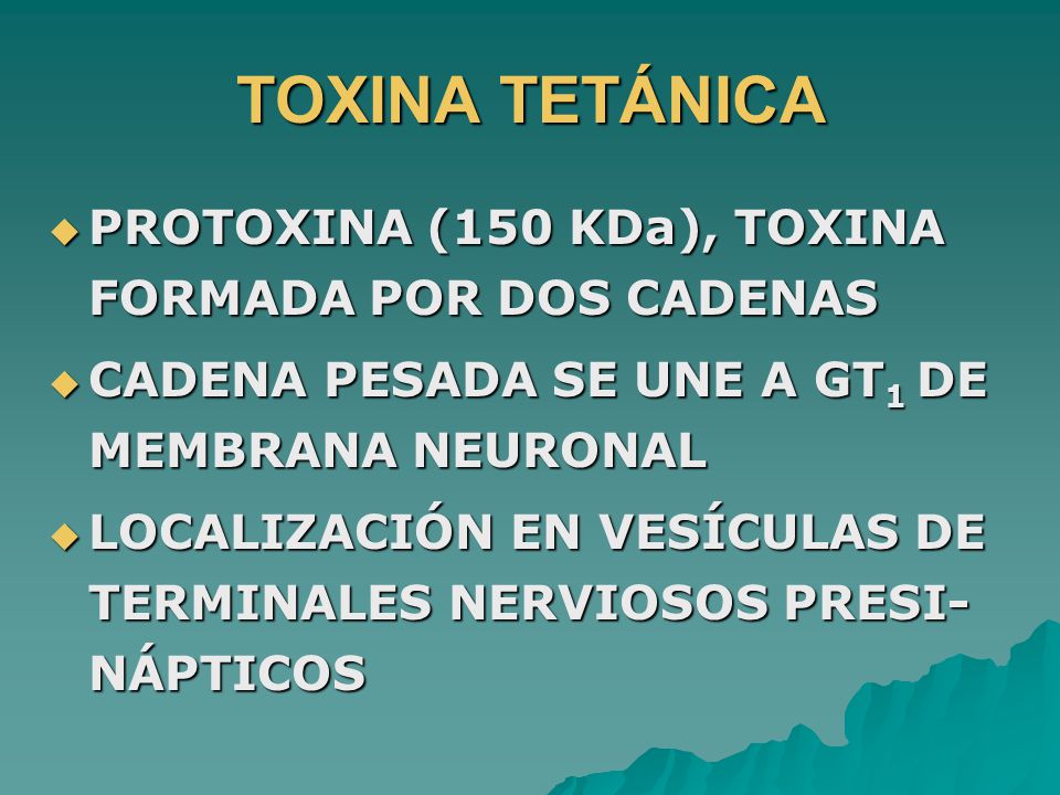 TOXINA TETÁNICA PROTOXINA (150 KDa), TOXINA FORMADA POR DOS CADENAS
