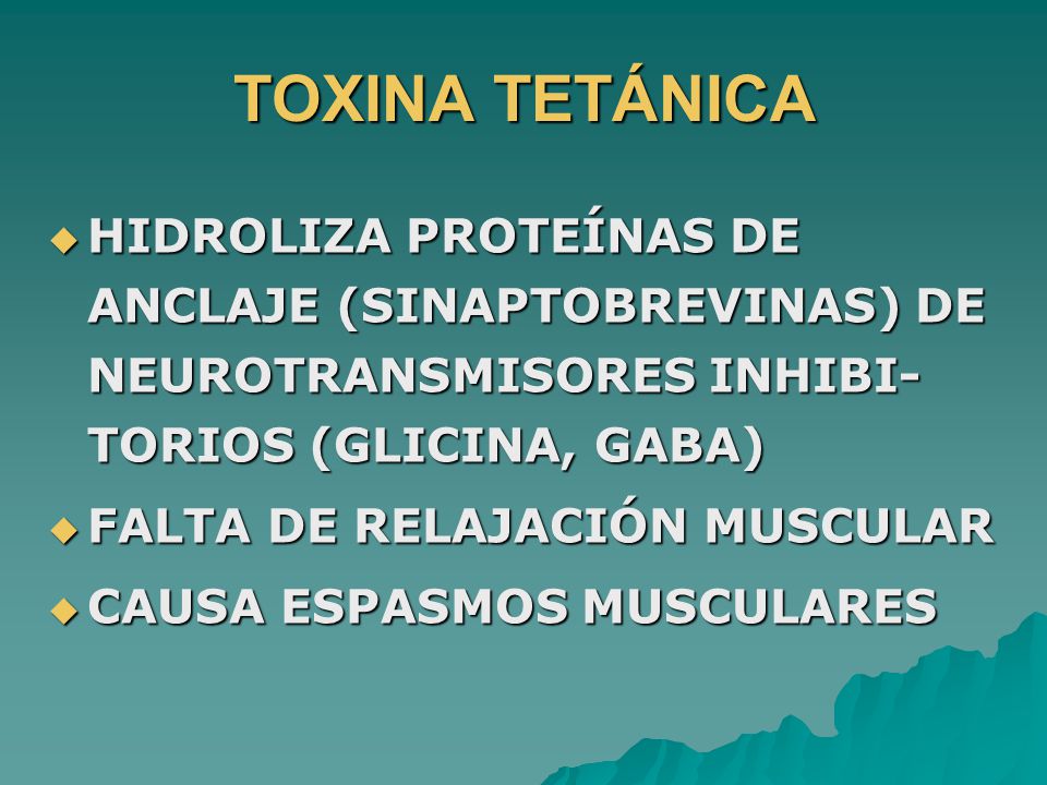 TOXINA TETÁNICA HIDROLIZA PROTEÍNAS DE ANCLAJE (SINAPTOBREVINAS) DE NEUROTRANSMISORES INHIBI-TORIOS (GLICINA, GABA)
