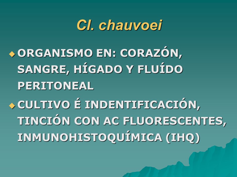 Cl. chauvoei ORGANISMO EN: CORAZÓN, SANGRE, HÍGADO Y FLUÍDO PERITONEAL