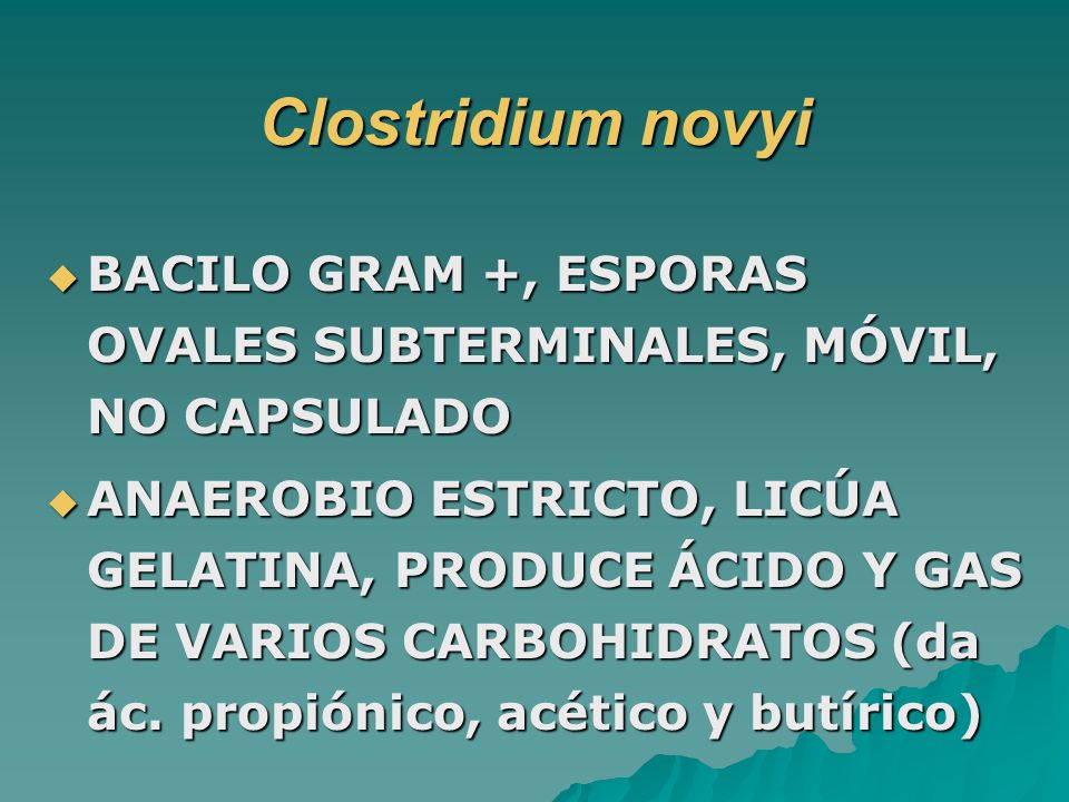 Clostridium novyi BACILO GRAM +, ESPORAS OVALES SUBTERMINALES, MÓVIL, NO CAPSULADO.