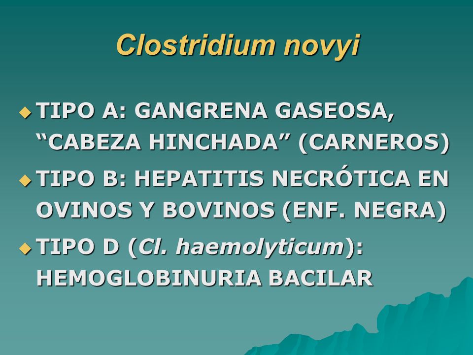 Clostridium novyi TIPO A: GANGRENA GASEOSA, CABEZA HINCHADA (CARNEROS) TIPO B: HEPATITIS NECRÓTICA EN OVINOS Y BOVINOS (ENF. NEGRA)