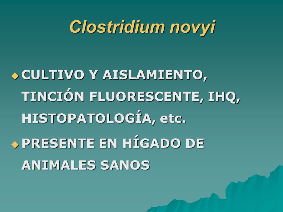 Clostridium novyi CULTIVO Y AISLAMIENTO, TINCIÓN FLUORESCENTE, IHQ, HISTOPATOLOGÍA, etc.