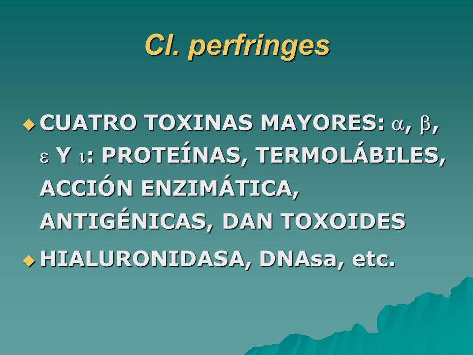Cl. perfringes CUATRO TOXINAS MAYORES: , ,  Y : PROTEÍNAS, TERMOLÁBILES, ACCIÓN ENZIMÁTICA, ANTIGÉNICAS, DAN TOXOIDES.