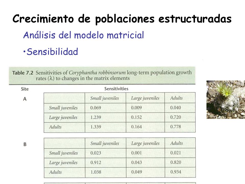 Crecimiento de poblaciones estructuradas