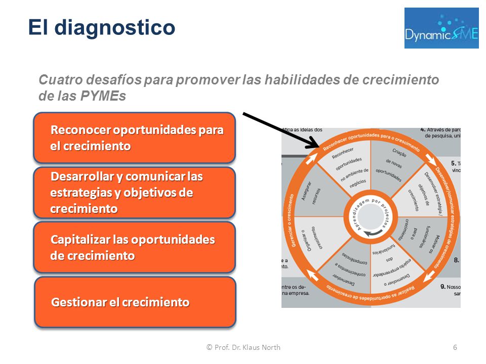 El diagnostico Cuatro desafíos para promover las habilidades de crecimiento de las PYMEs. Reconocer oportunidades para el crecimiento.