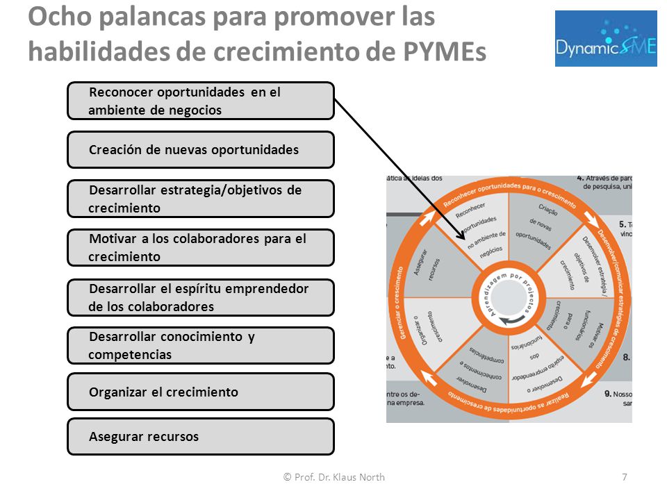 Ocho palancas para promover las habilidades de crecimiento de PYMEs
