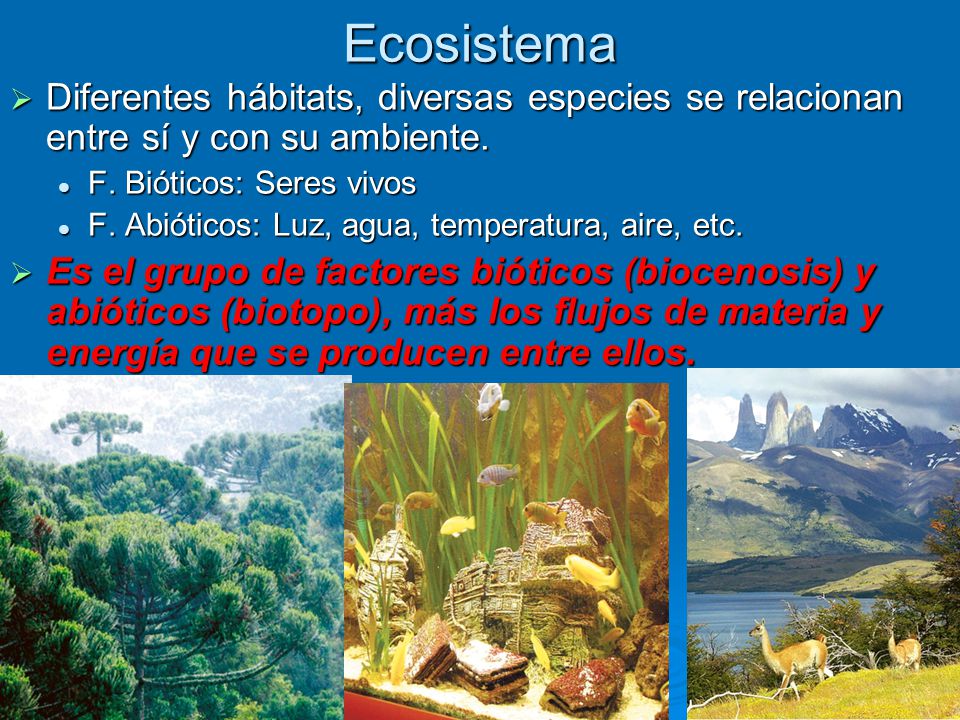 Ecosistema Diferentes hábitats, diversas especies se relacionan entre sí y con su ambiente. F. Bióticos: Seres vivos.