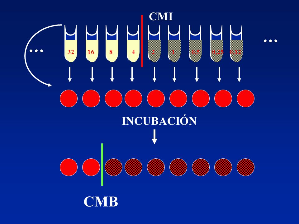 CMI       ,5 0,25 0,12 INCUBACIÓN CMB