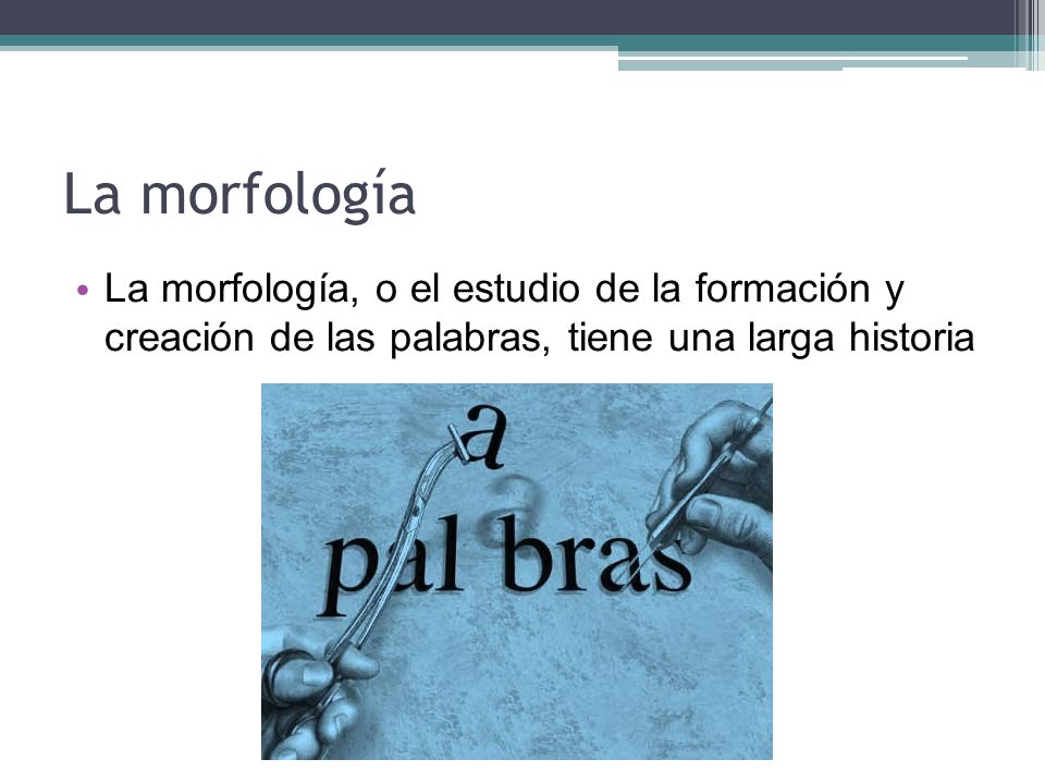 La morfología La morfología, o el estudio de la formación y creación de las palabras, tiene una larga historia.