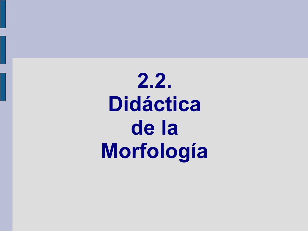 2.2. Didáctica de la Morfología