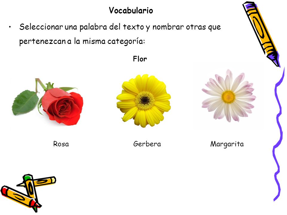 Vocabulario Seleccionar una palabra del texto y nombrar otras que pertenezcan a la misma categoría: