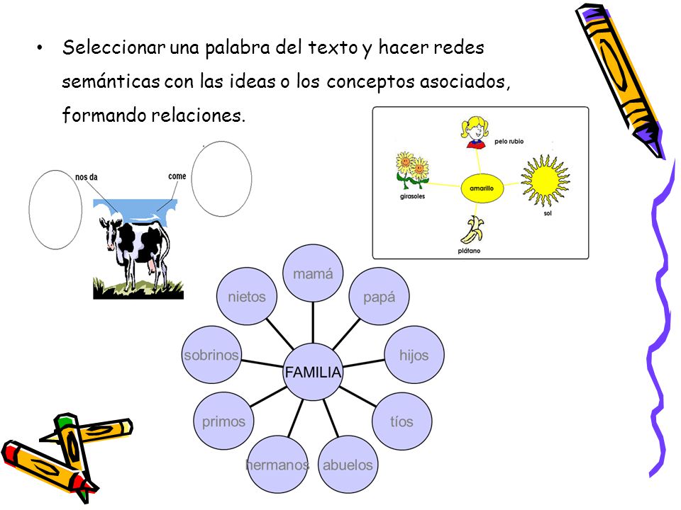 Seleccionar una palabra del texto y hacer redes semánticas con las ideas o los conceptos asociados, formando relaciones.
