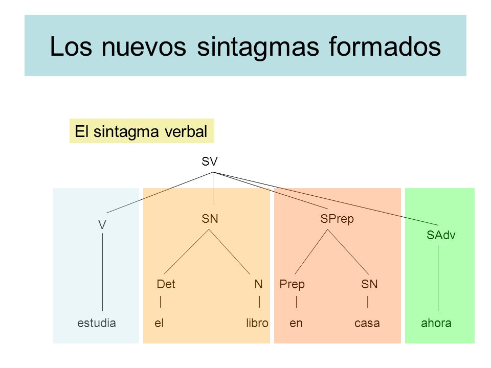 Los nuevos sintagmas formados