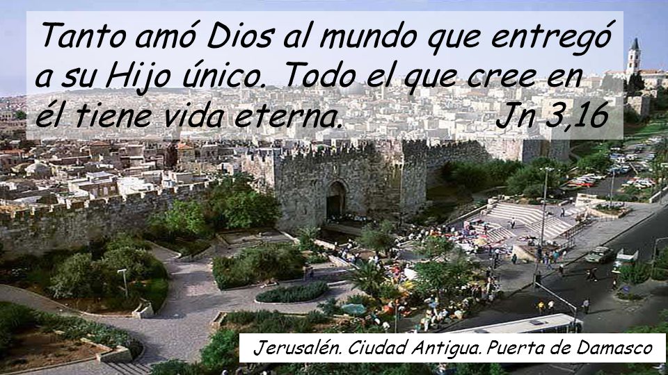 Tanto amó Dios al mundo que entregó a su Hijo único