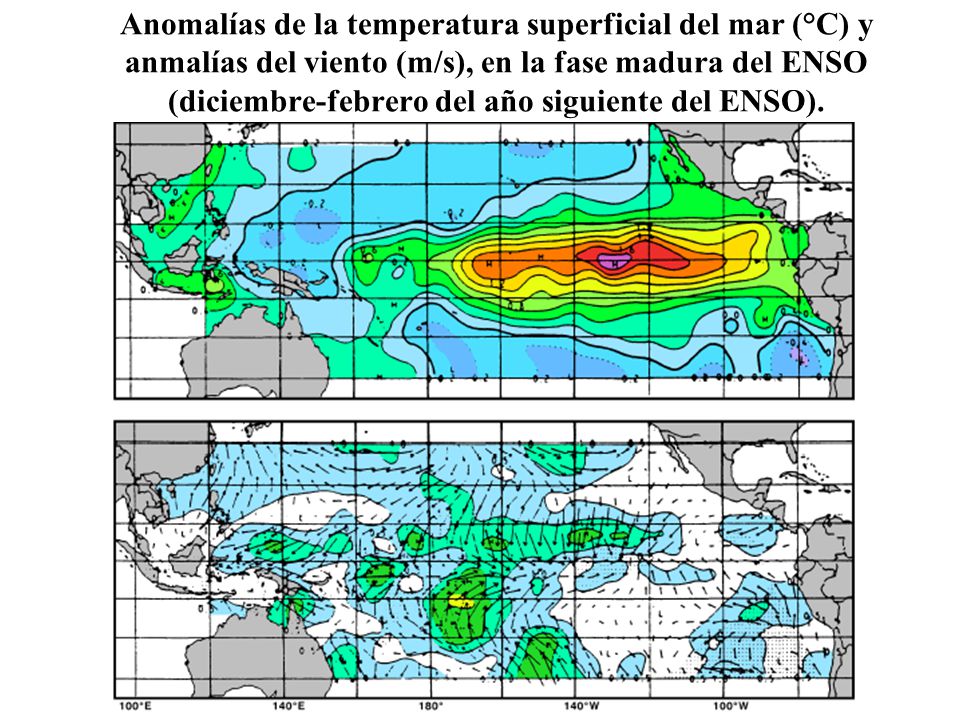 Anomalías de la temperatura superficial del mar (°C) y anmalías del viento (m/s), en la fase madura del ENSO (diciembre-febrero del año siguiente del ENSO).