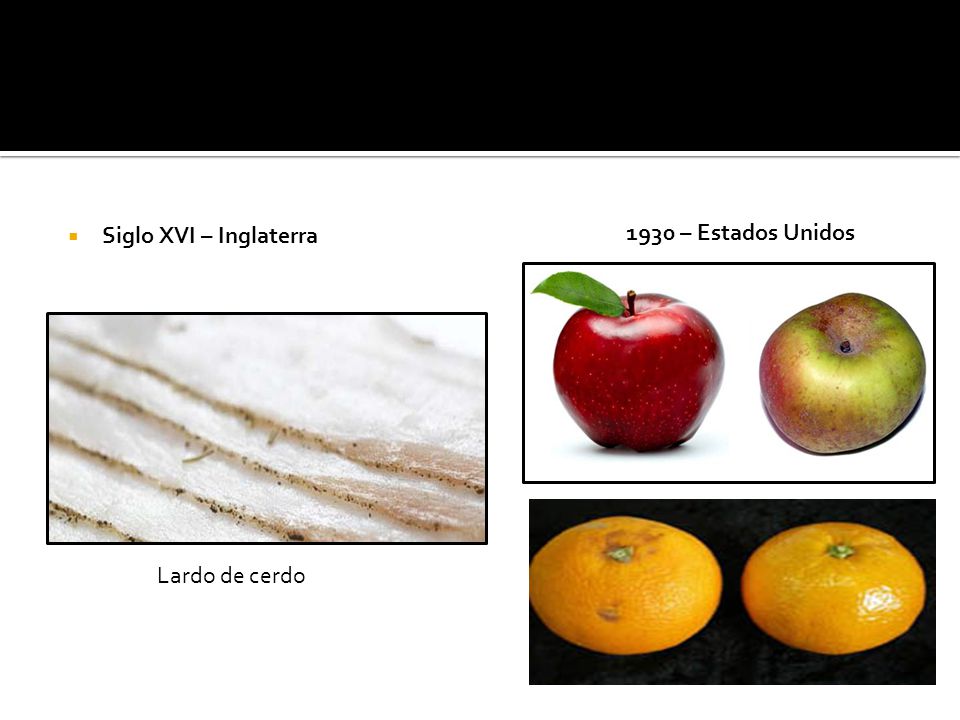 Siglo XVI – Inglaterra Siglo XVI – Inglaterra 1930 – Estados Unidos Lardo de cerdo