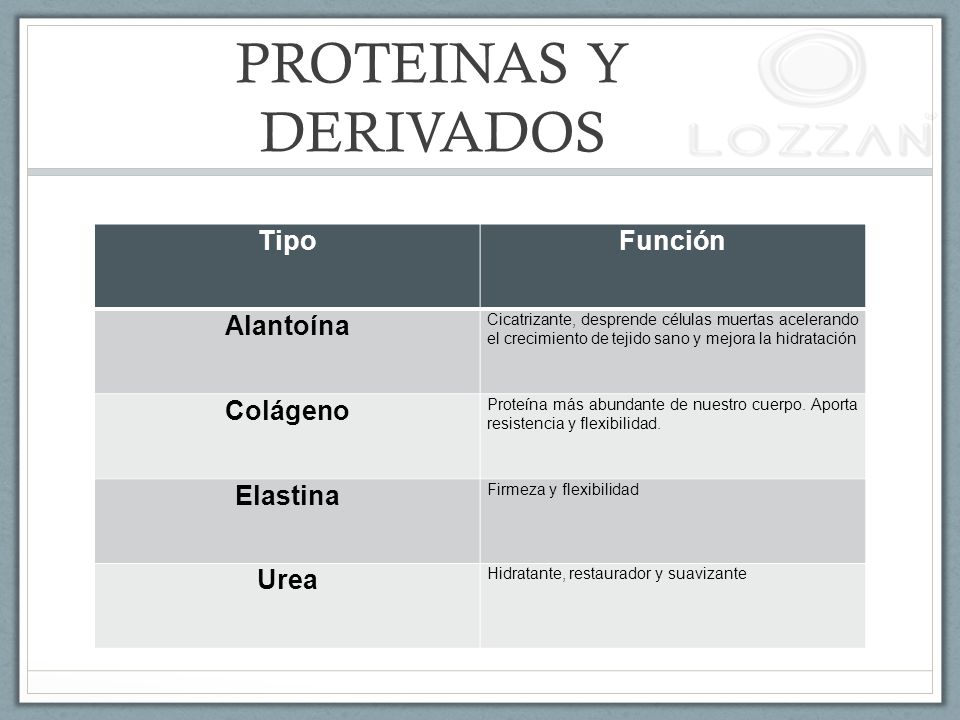 PROTEINAS Y DERIVADOS Tipo Función Alantoína Colágeno Elastina Urea