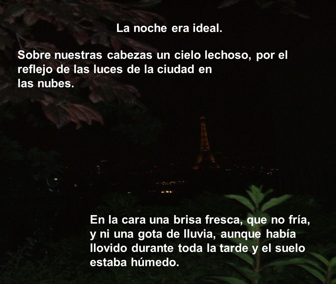 La noche era ideal. Sobre nuestras cabezas un cielo lechoso, por el reflejo de las luces de la ciudad en.