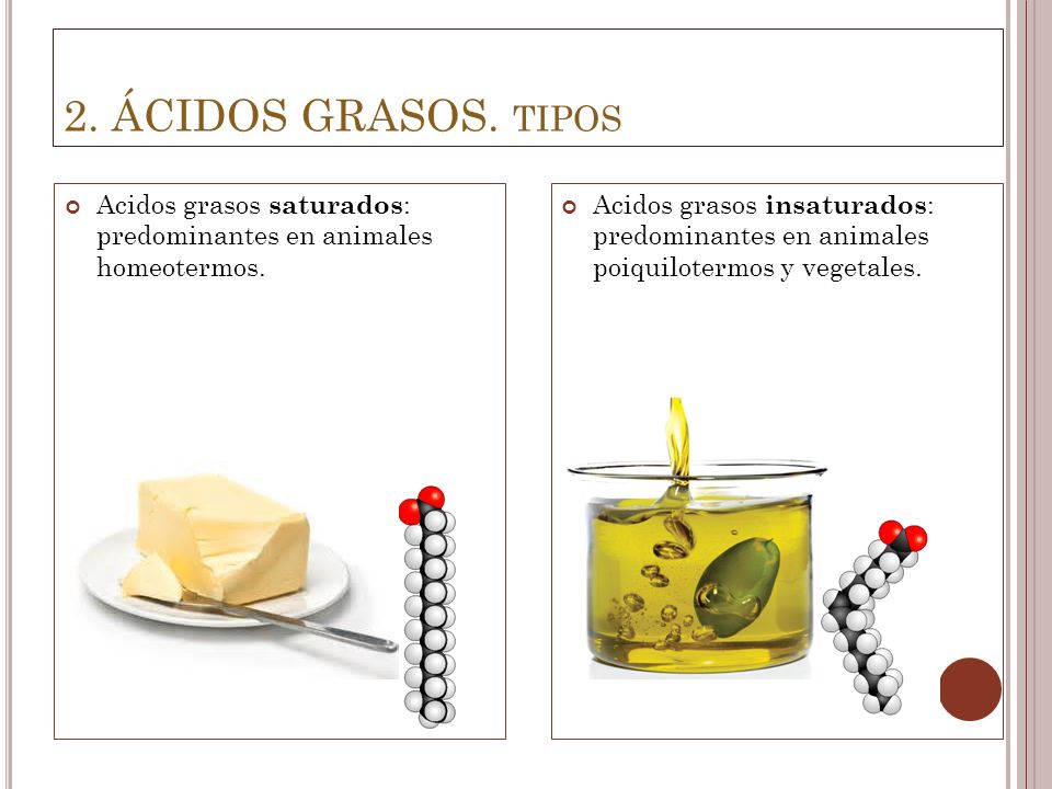 2. ÁCIDOS GRASOS. tipos Acidos grasos saturados: predominantes en animales homeotermos.