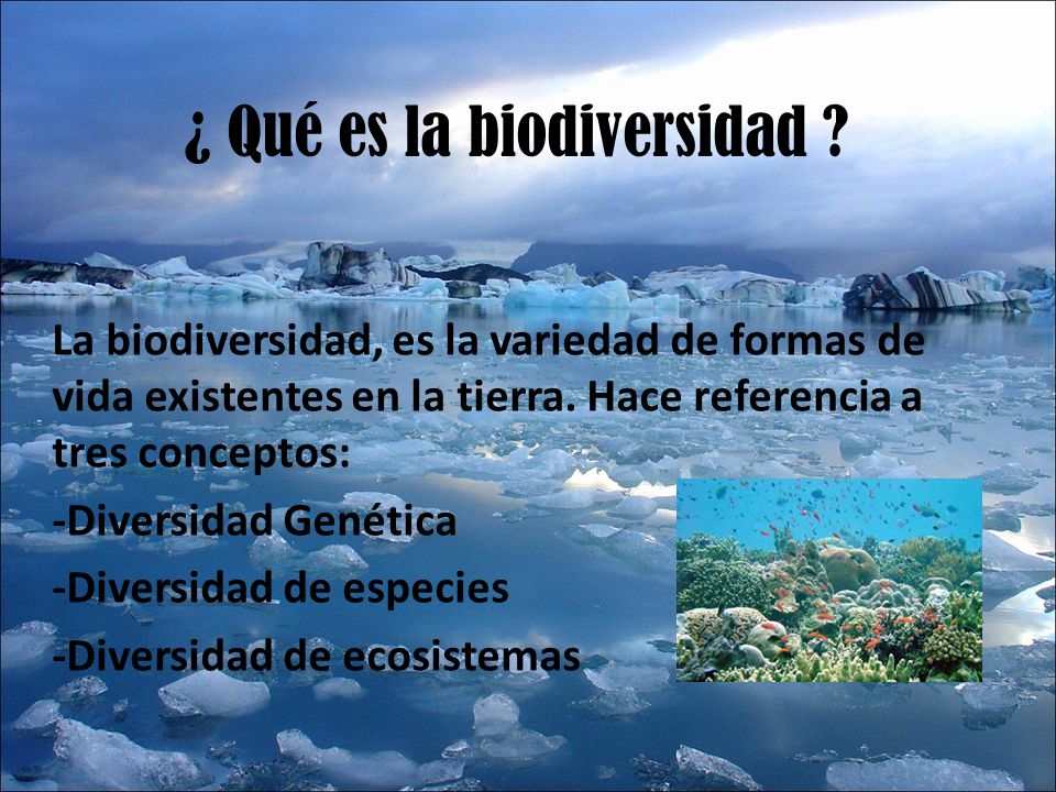 ¿ Qué es la biodiversidad