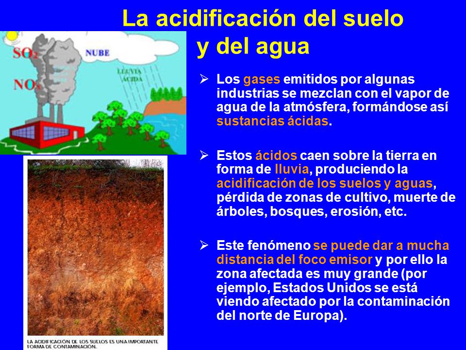 La acidificación del suelo y del agua