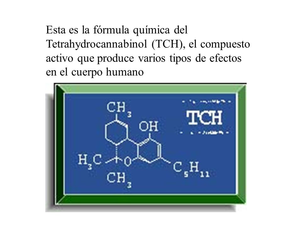 Esta es la fórmula química del Tetrahydrocannabinol (TCH), el compuesto activo que produce varios tipos de efectos en el cuerpo humano