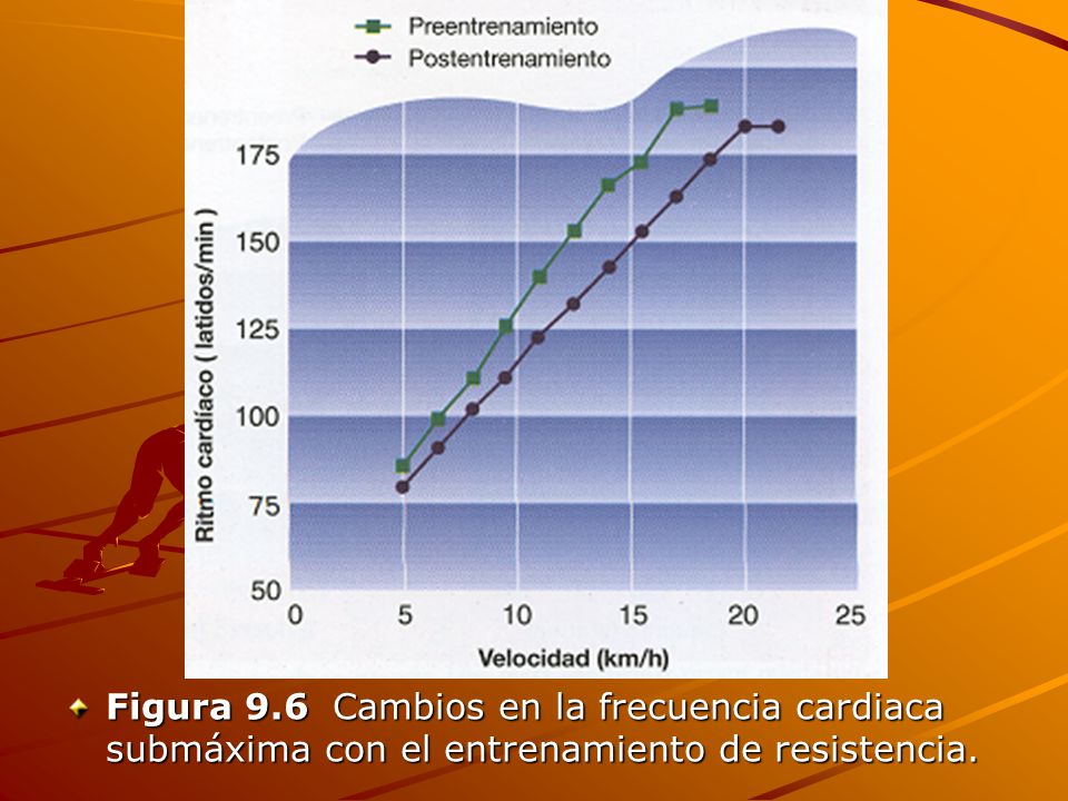 Figura 9.6 Cambios en la frecuencia cardiaca submáxima con el entrenamiento de resistencia.