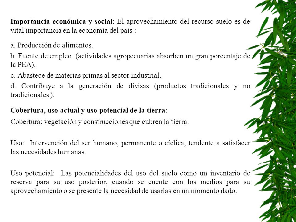 Importancia económica y social: El aprovechamiento del recurso suelo es de vital importancia en la economía del país :