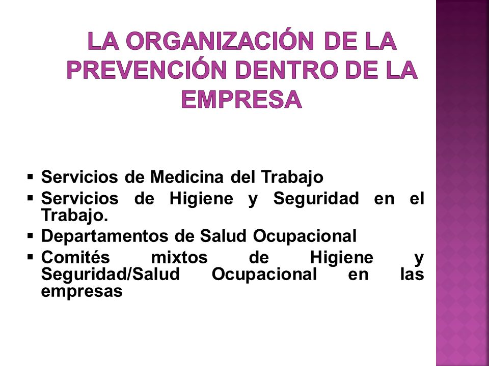 La organización de la prevención dentro de la Empresa
