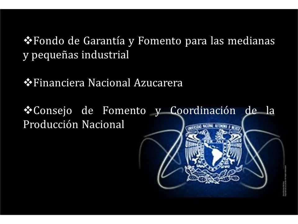 Fondo de Garantía y Fomento para las medianas y pequeñas industrial