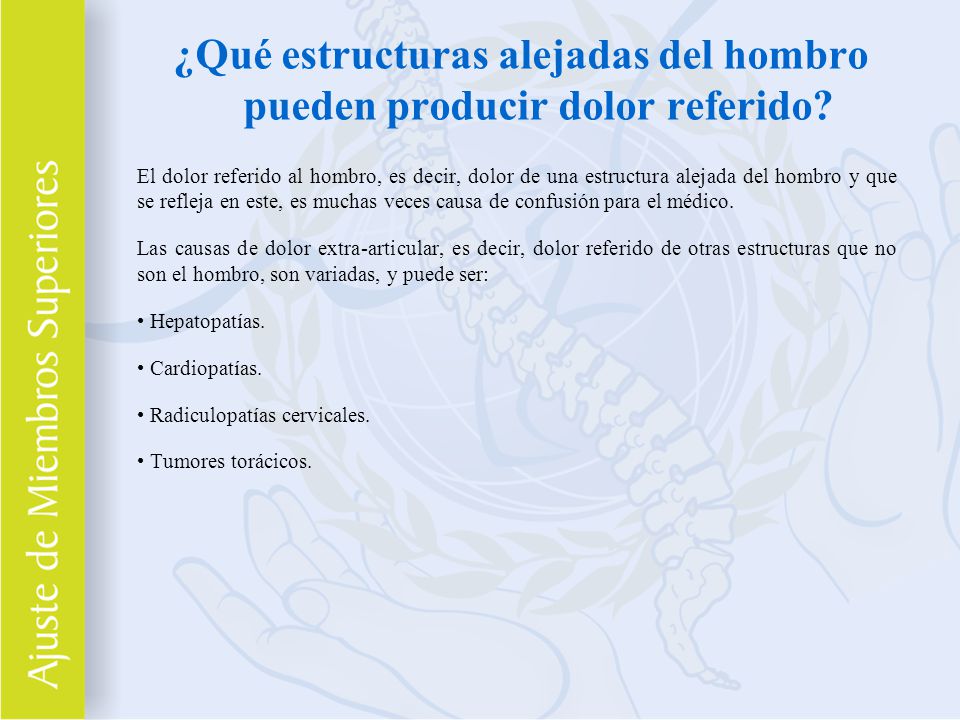 ¿Qué estructuras alejadas del hombro pueden producir dolor referido