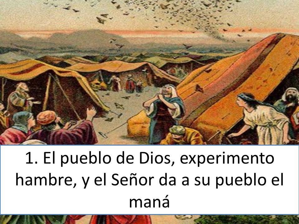1. El pueblo de Dios, experimento hambre, y el Señor da a su pueblo el maná
