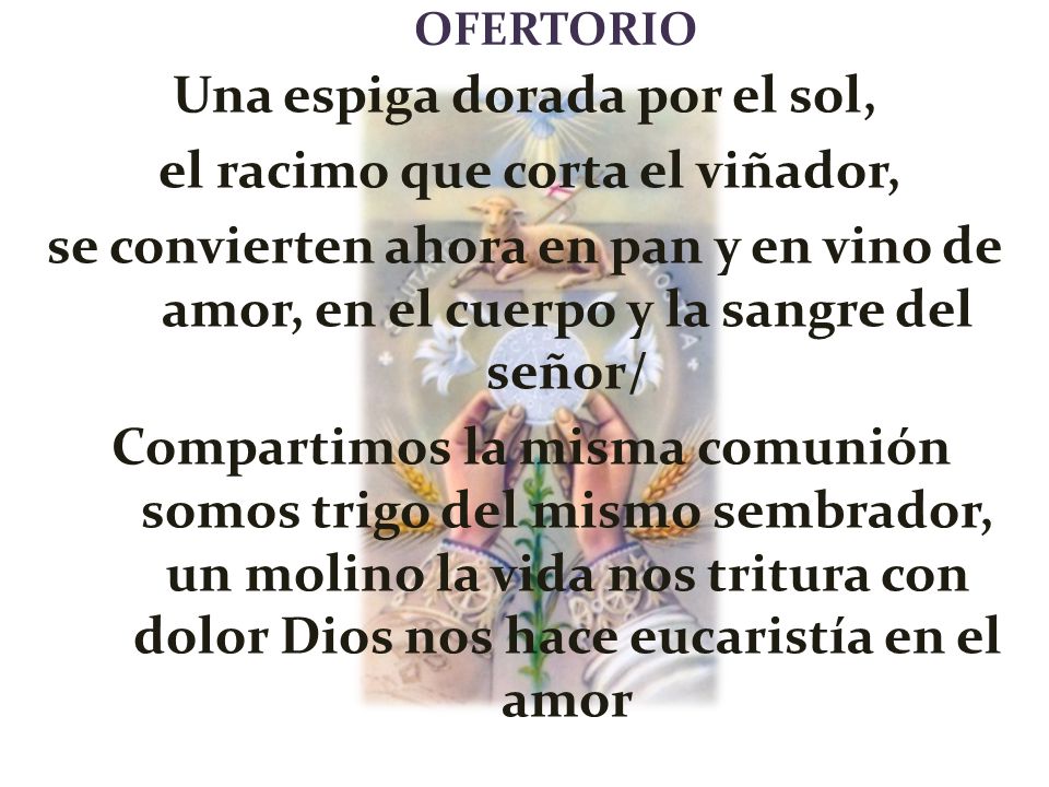 Una espiga dorada por el sol, el racimo que corta el viñador,