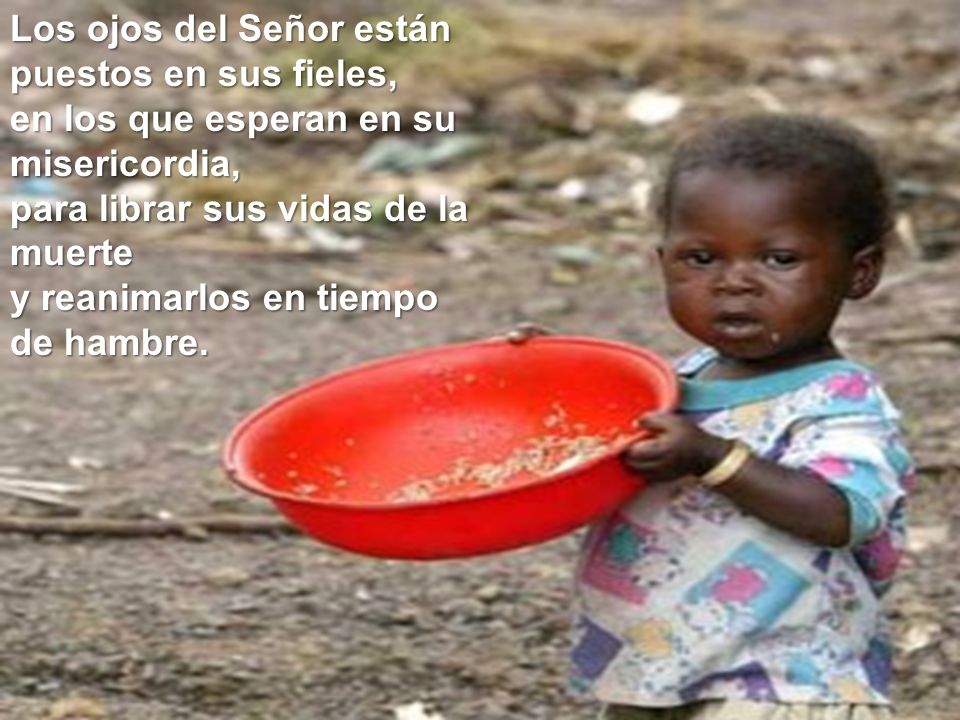 Los ojos del Señor están puestos en sus fieles, en los que esperan en su misericordia, para librar sus vidas de la muerte y reanimarlos en tiempo de hambre.