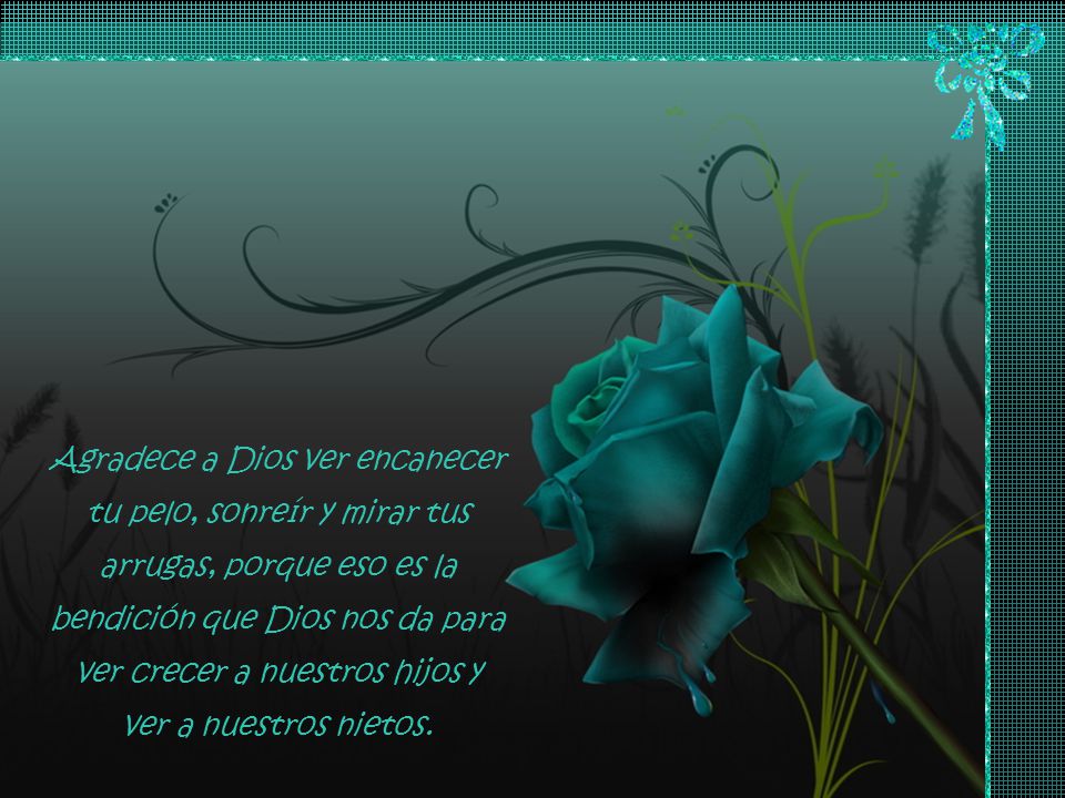 Agradece a Dios ver encanecer tu pelo, sonreír y mirar tus arrugas, porque eso es la bendición que Dios nos da para ver crecer a nuestros hijos y ver a nuestros nietos.