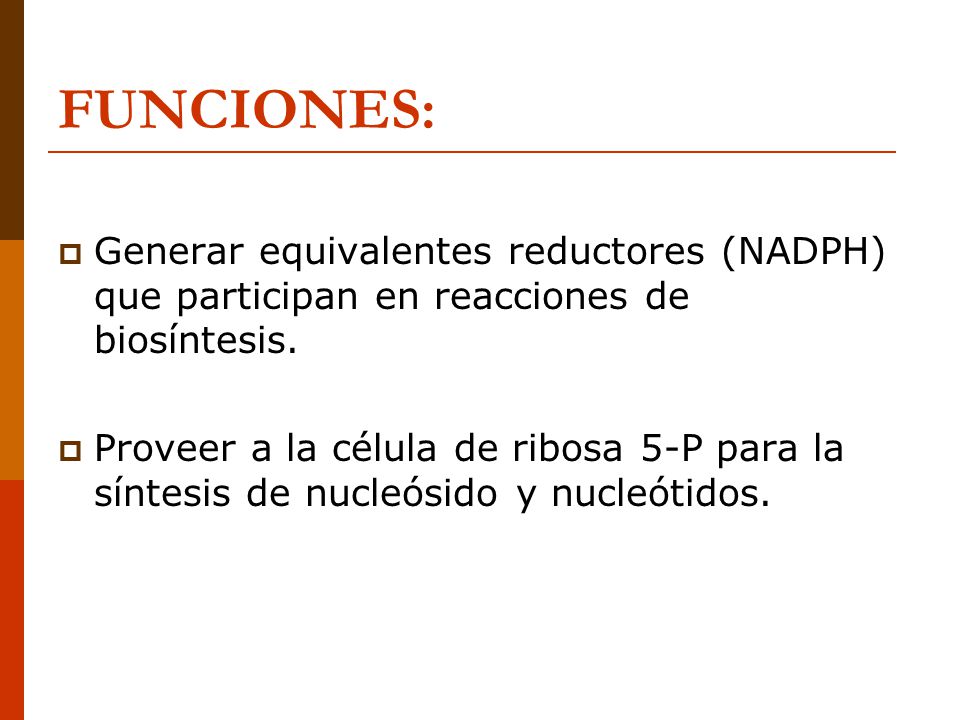 FUNCIONES: Generar equivalentes reductores (NADPH) que participan en reacciones de biosíntesis.