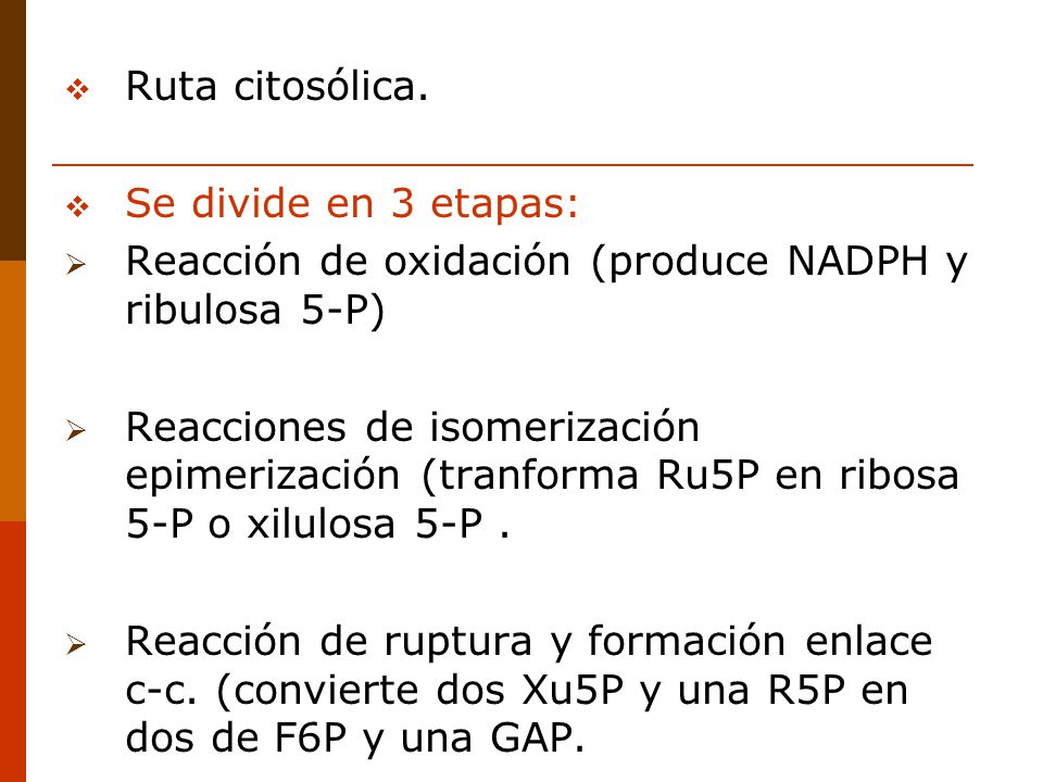 Ruta citosólica. Se divide en 3 etapas: Reacción de oxidación (produce NADPH y ribulosa 5-P)