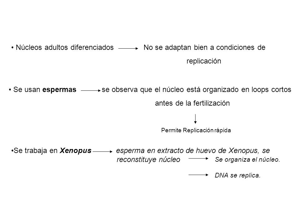 Núcleos adultos diferenciados No se adaptan bien a condiciones de