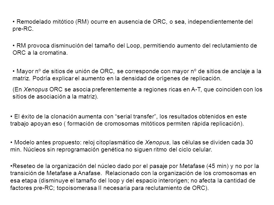 Remodelado mitótico (RM) ocurre en ausencia de ORC, o sea, independientemente del pre-RC.