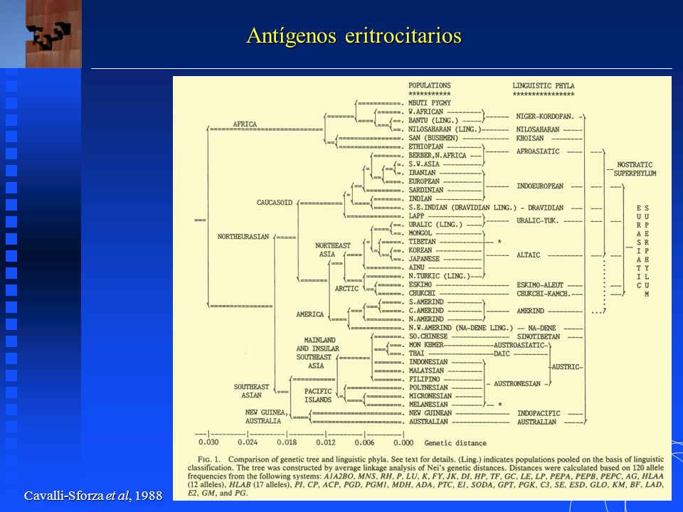 Antígenos eritrocitarios