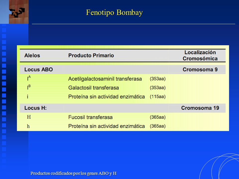 Fenotipo Bombay Productos codificados por los genes ABO y H