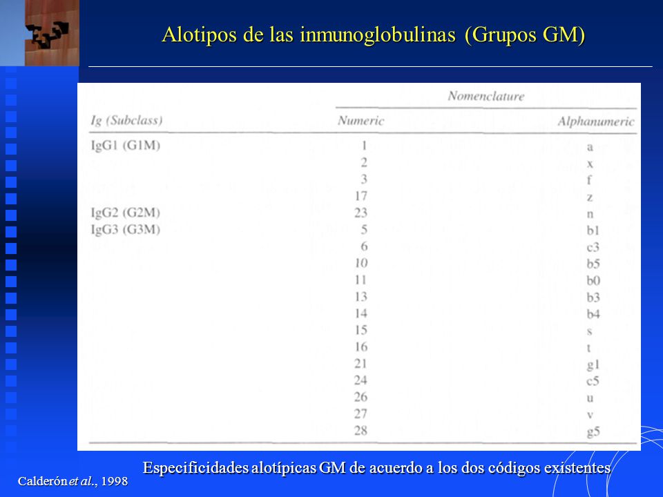 Especificidades alotípicas GM de acuerdo a los dos códigos existentes
