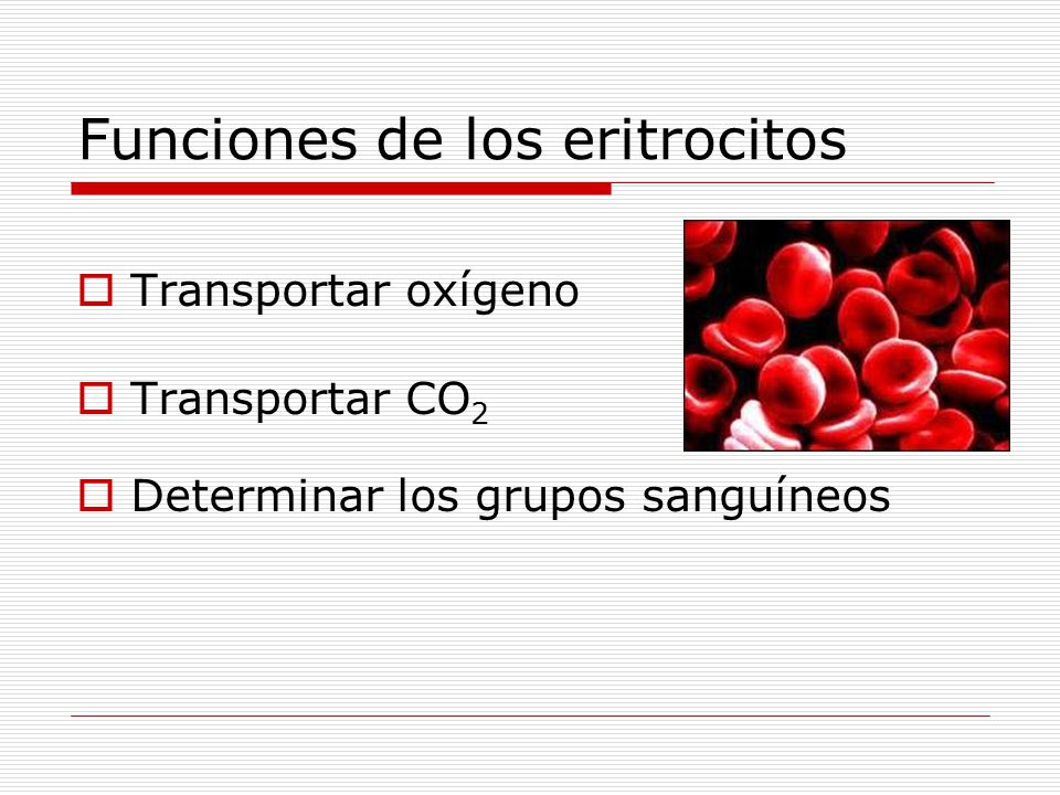 Funciones de los eritrocitos