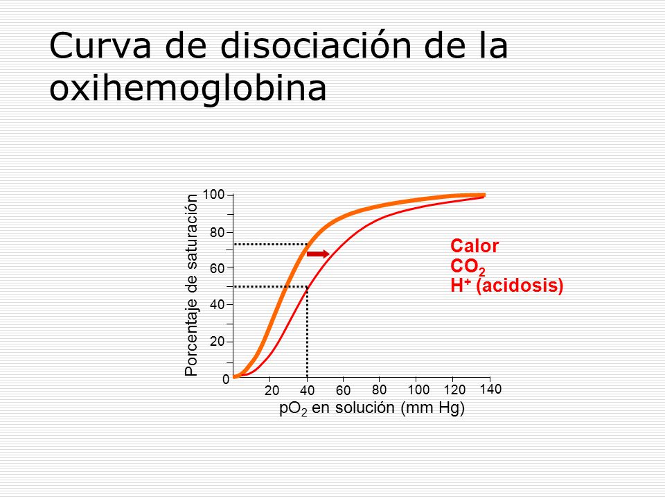 Curva de disociación de la oxihemoglobina