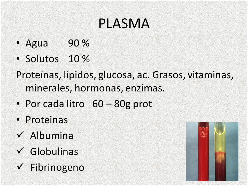 PLASMA Agua 90 % Solutos 10 % Proteínas, lípidos, glucosa, ac. Grasos, vitaminas, minerales, hormonas, enzimas.